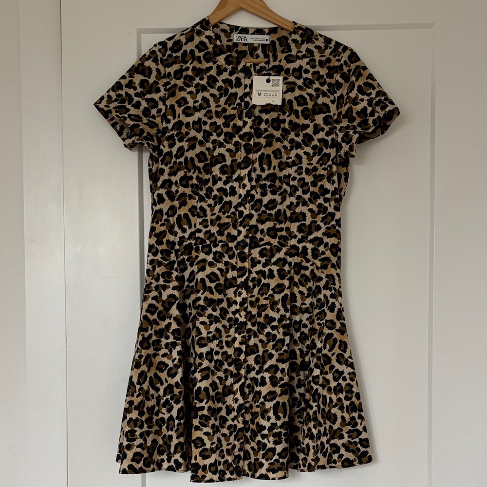 Zara Leopard Print Mini Dress